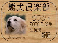 �E�����̂��₶����̂g�o�ւf�n�I